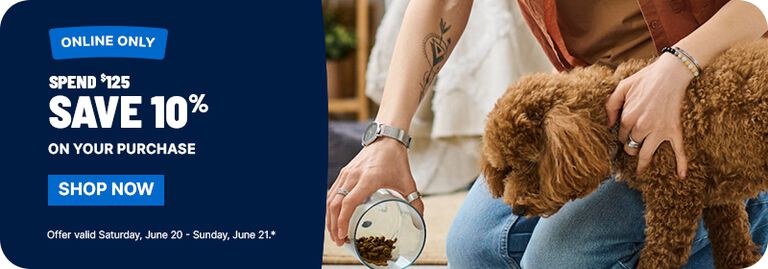 Promotional banner with a blue panel on the left reading &ldquo;Online Only &ndash; Spend $125, Save 10% on Your Purchase &ndash; Shop Now,&rdquo; with offer dates listed below. 