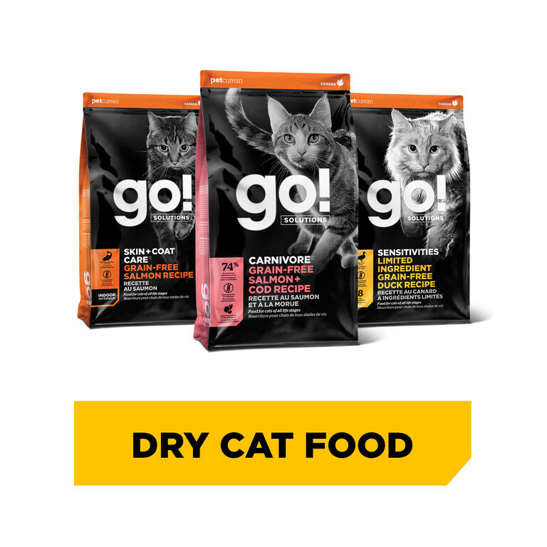 Shop Dry Cat Food