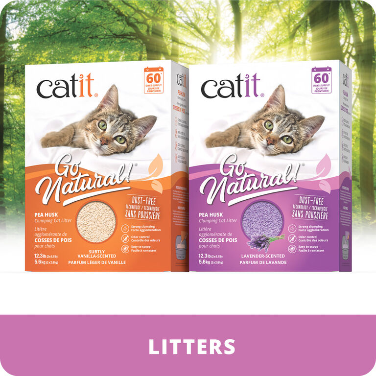 Image without a name