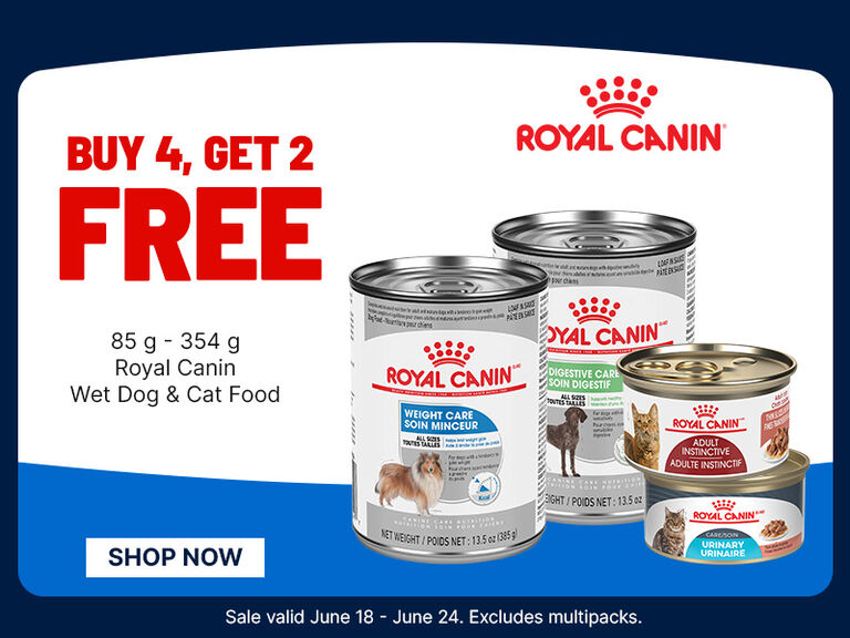 Promo banner showing &ldquo;Buy 4, Get 2 Free&rdquo; on Royal Canin wet dog and cat food, with canned products, a &ldquo;Shop Now&rdquo; button, and sale dates June 18&ndash;24.