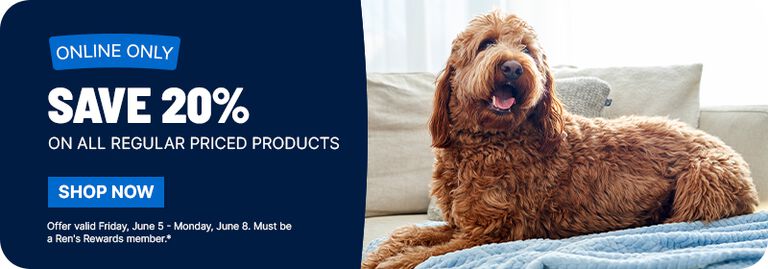 Dog lying on a couch beside a promotion reading &ldquo;Save 20% on all regular priced products,&rdquo; with an online-only &ldquo;Shop Now&rdquo; button and dates listed.