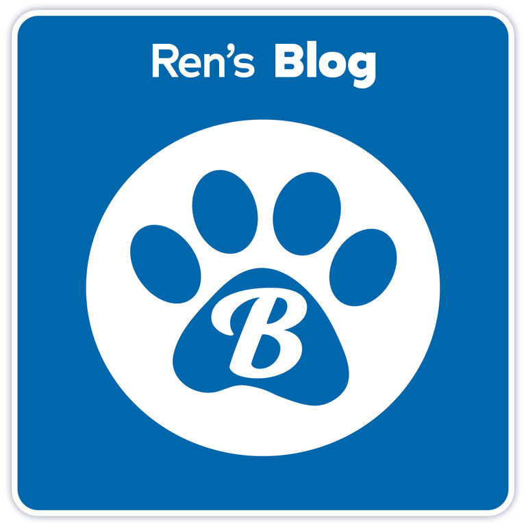 Ren's Blog