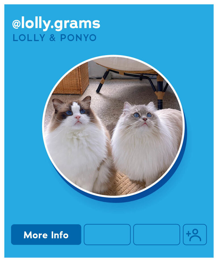 Lolly and Ponyo
