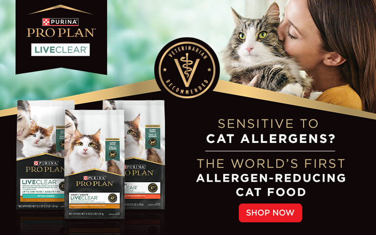Sensitive to cat allergens? - the world's first allergen-reducing cat food