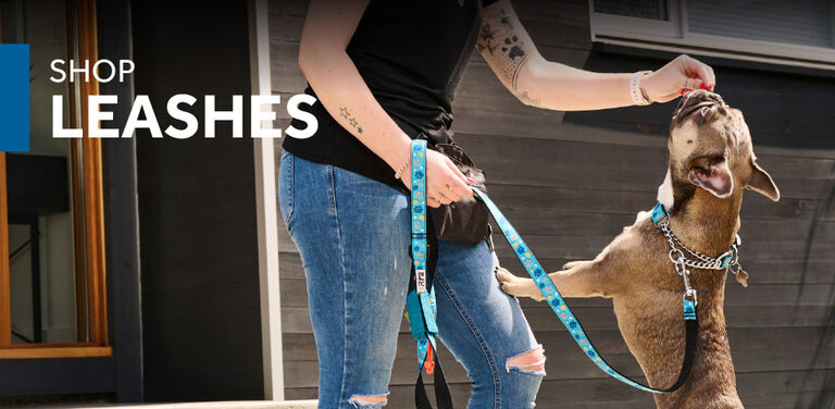 Shop Leashes