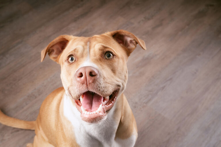 Image without a name