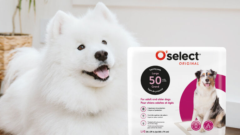 Image without a name