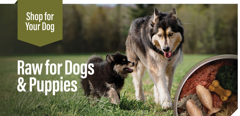 Shop For your dog - raw for dogs and puppies