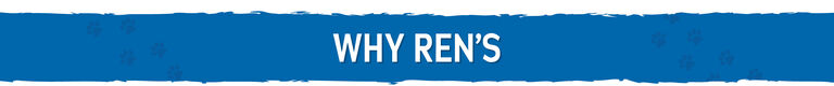 Why Ren's