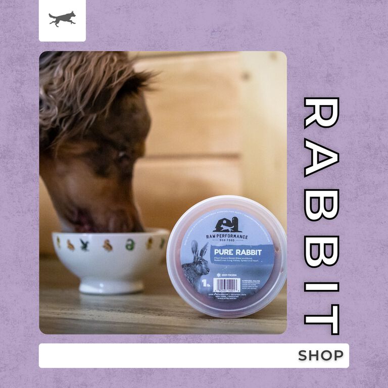 Shop Rabbit