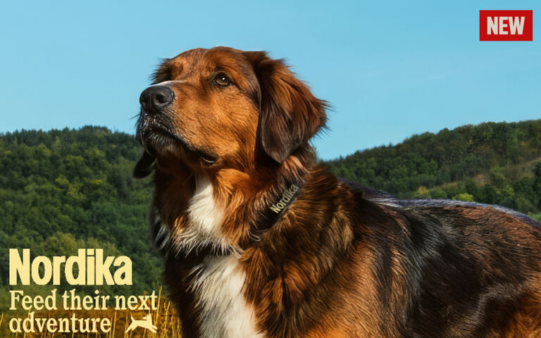 Image without a name