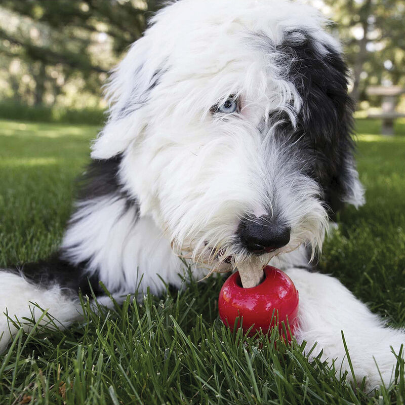 KONG, Ziggies - Small - 198 g - Dog Treat image number null