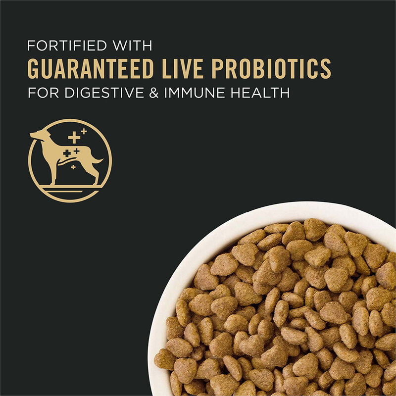 Purina Pro Plan Sport Small Bites 27/17, All Ages, Lamb & Rice Dry Dog Food image number null