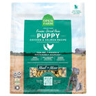 Puppy - Freeze-Dried Morsels - Chicken & Salmon Recipe- 383 g - Freeze-Dried Dog Food image number null