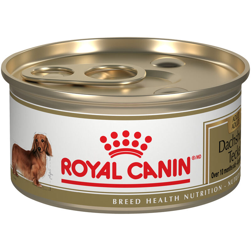 Royal Canin, Pouch, Adult - Dachshund - 85 g - Wet Dog Food image number null