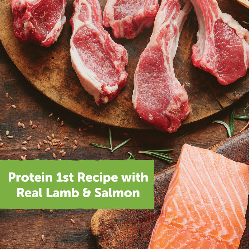 Wellness, Wellbites, Lamb & Salmon Soft Dog Treats - 6 oz - Dog Treat image number null