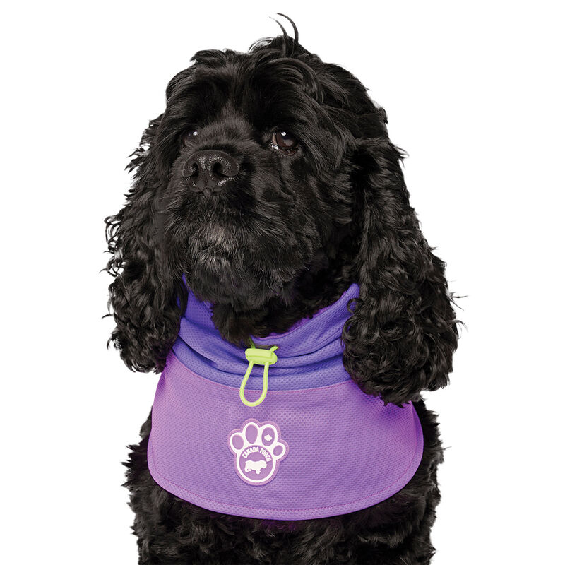 Canada Pooch, Max Chill Cooling Snood Purple image number null