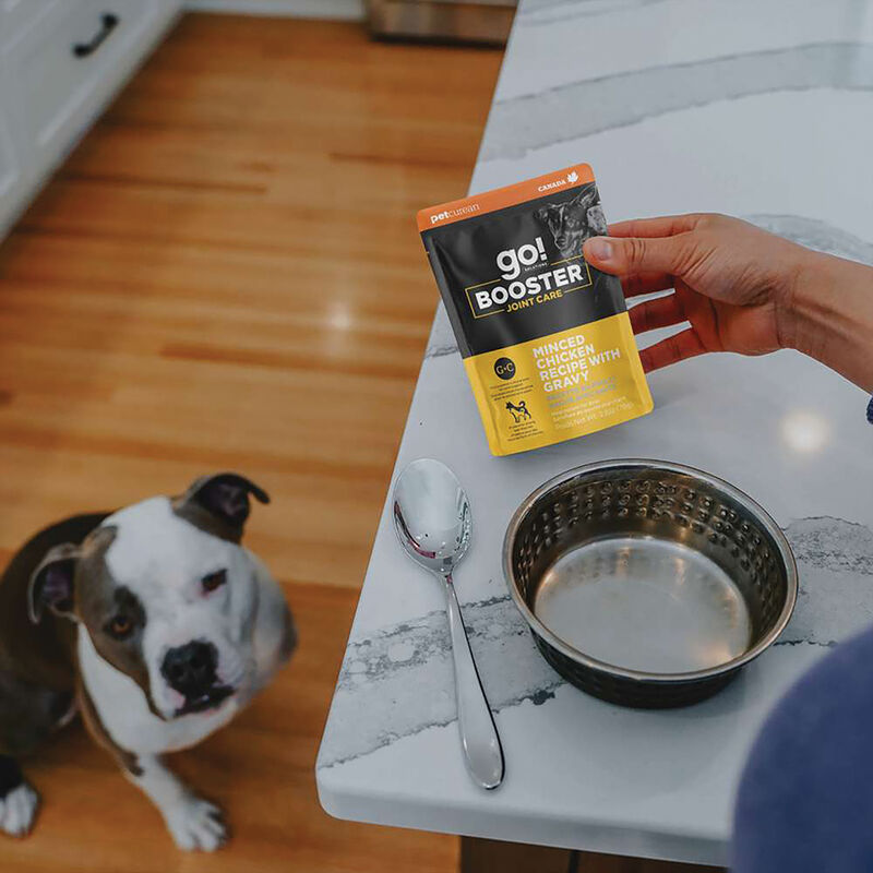 GO! SOLUTIONS,  BOOSTER Joint Care Minced Chicken with gravy - 78 g - Wet Dog Food image number null