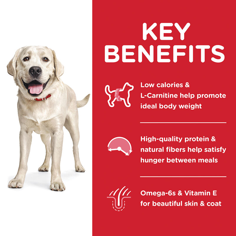 Science Diet, Adult Light Large Breed Chicken Meal & Barley Dry Dog Food for healthy weight - Dry Do image number null
