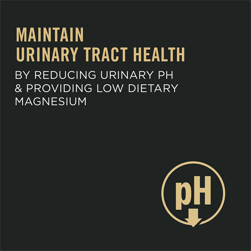 Purina Pro Plan Urinary Tract Health Chicken & Rice Adult, Dry Cat Food Formula image number null