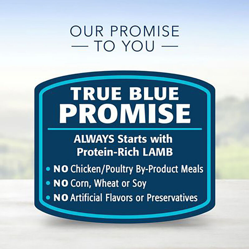 Blue Buffalo, Adult - LP - Lamb - Dry Dog Food image number null