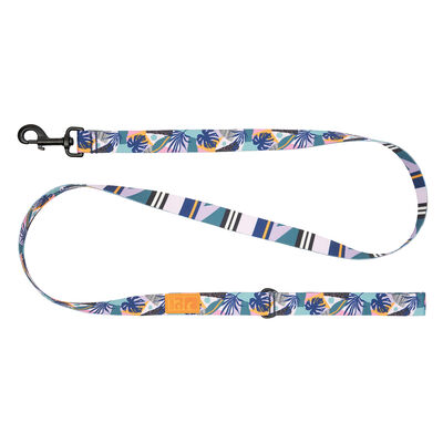 RC Pets, Eco Leash - Mystic Monstera - 1"x5'