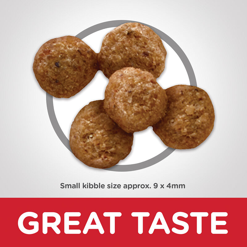 Science Diet, Adult Light Small Bites with Chicken Meal & Barley Dry Dog Food for healthy weight man image number null