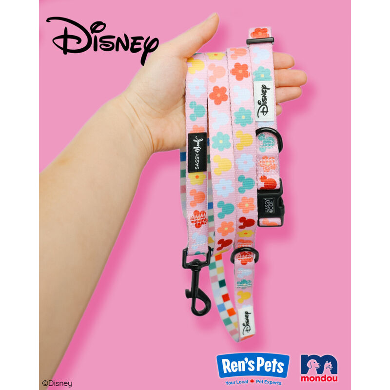 Sassy Woof, Minnie Mickey Collar and Leash Set for Dogs - Small image number null