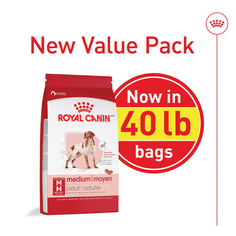 Royal Canin, Adult - Size Health Nutrition - Medium - Dry Dog Food image number null