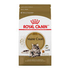 Royal Canin, Feline Breed Nutrition Maine Coon - Dry Cat Food image number null