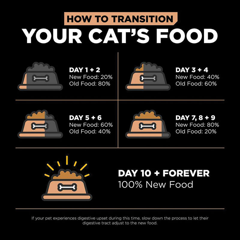 GO! SOLUTIONS, Feline Adult - Digestion & Gut Health - Salmon w/ Ancient Grains - Dry Cat Food image number null