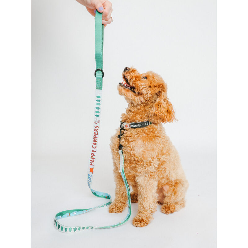 Sassy Woof, Peanut Camping Collar and Leash Set for Dogs image number null