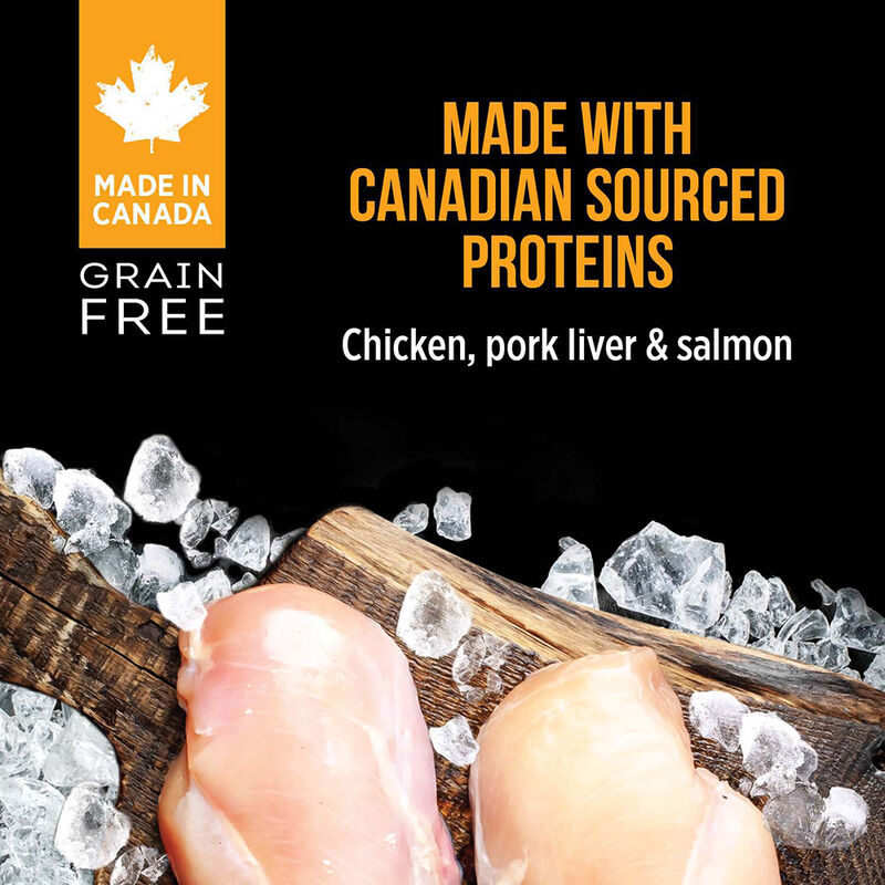 Nutrience Subzero Grain Free - Fraser Valley PÃ¢tÃ© - Wet Dog Food image number null