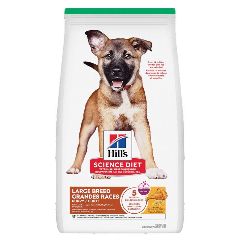 Science Diet, Puppy Large Breed Chicken & Brown Rice Recipe - Dry Dog Food image number null