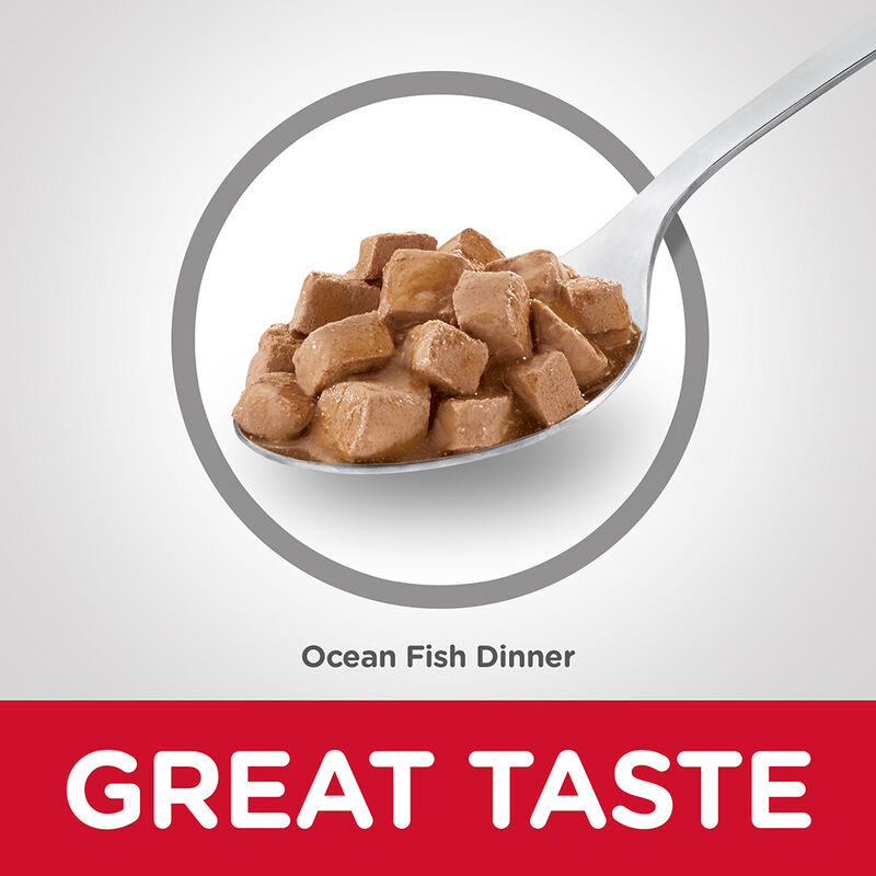 Science Diet, Can, Feline Adult - Ocean Fish - 156 g - Wet Cat Food image number null