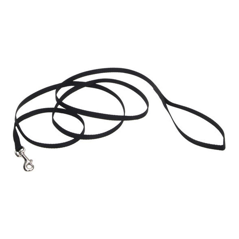 Single-Ply Dog Leash, Black, X-Small - 3/8" x 6' image number null