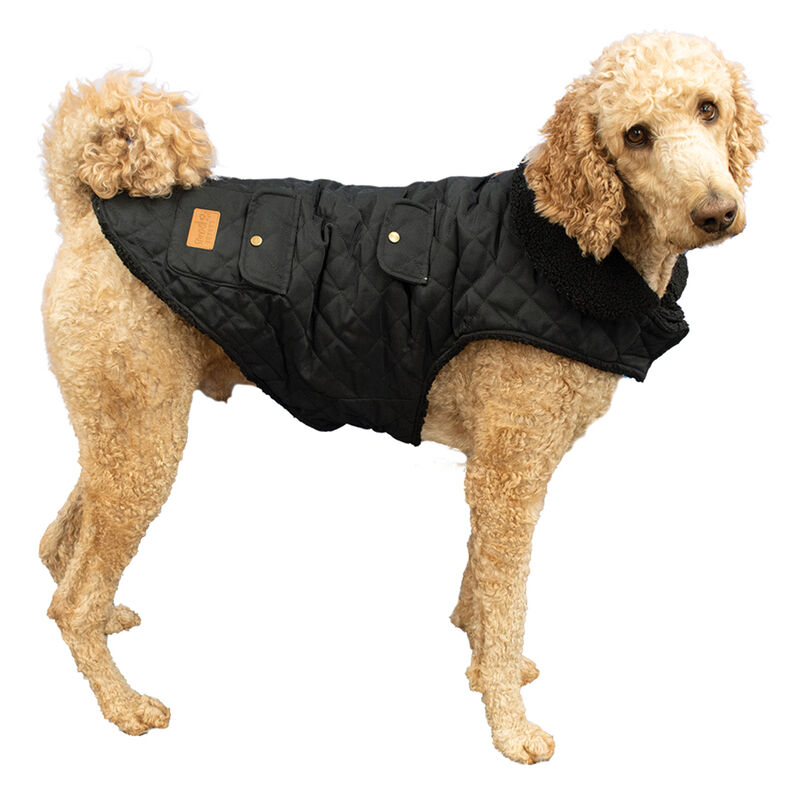 Canada Paws, Quilted Barn Coat - Black - Dog Coat image number null