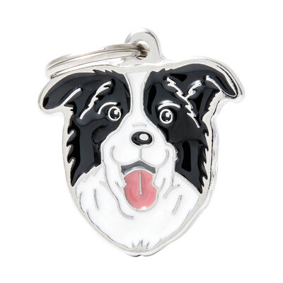 MyFamily, Border Collie
