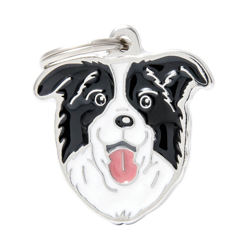 MyFamily, Border Collie image number null