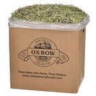 Oxbow, Western Timothy Hay image number null