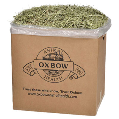 Oxbow, Western Timothy Hay