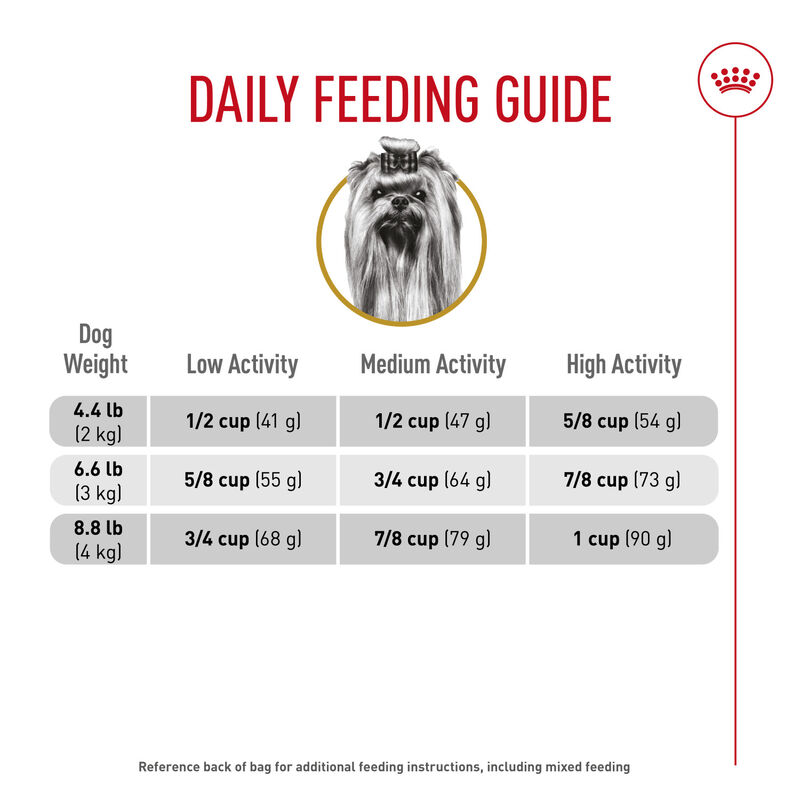 Royal Canin, Breed Health Nutrition Yorkshire Terrier Adult - Dry Dog Food image number null