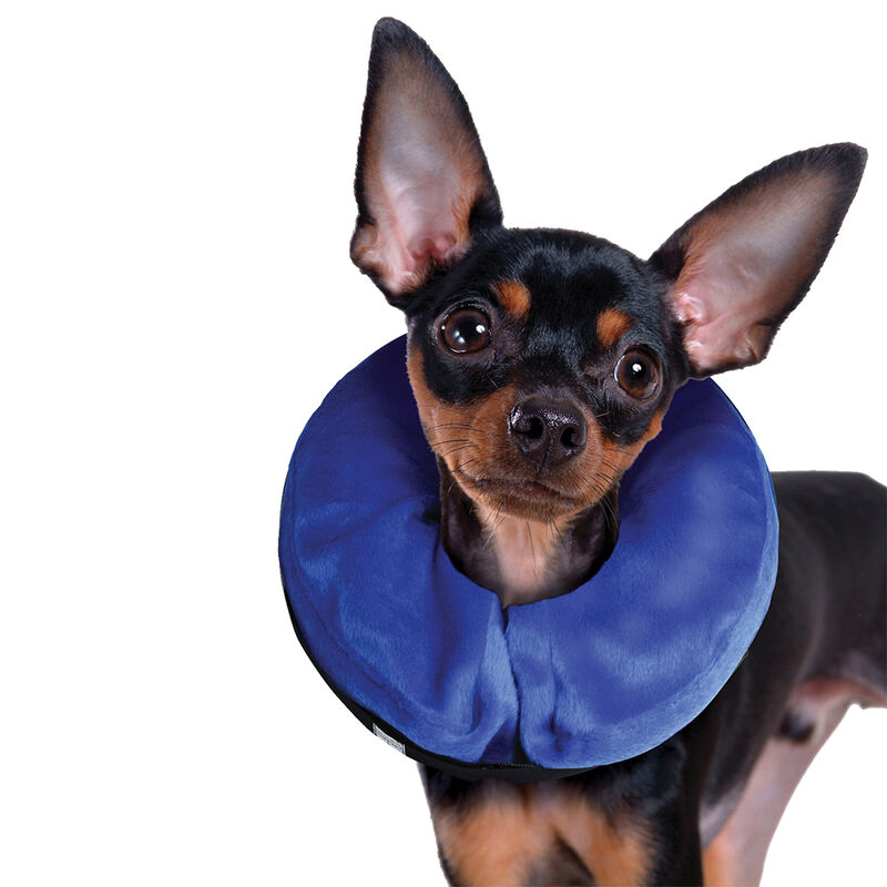 KONG, Cloud Collar - Dog First Aid image number null