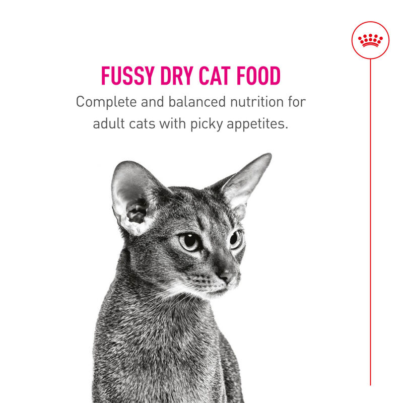 Royal Canin, Health Nutrition Fussy Appetite - Dry Cat Food image number null