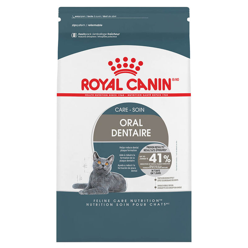 Royal Canin, Feline Care Nutrition - Dental Care - Dry Cat Food image number null
