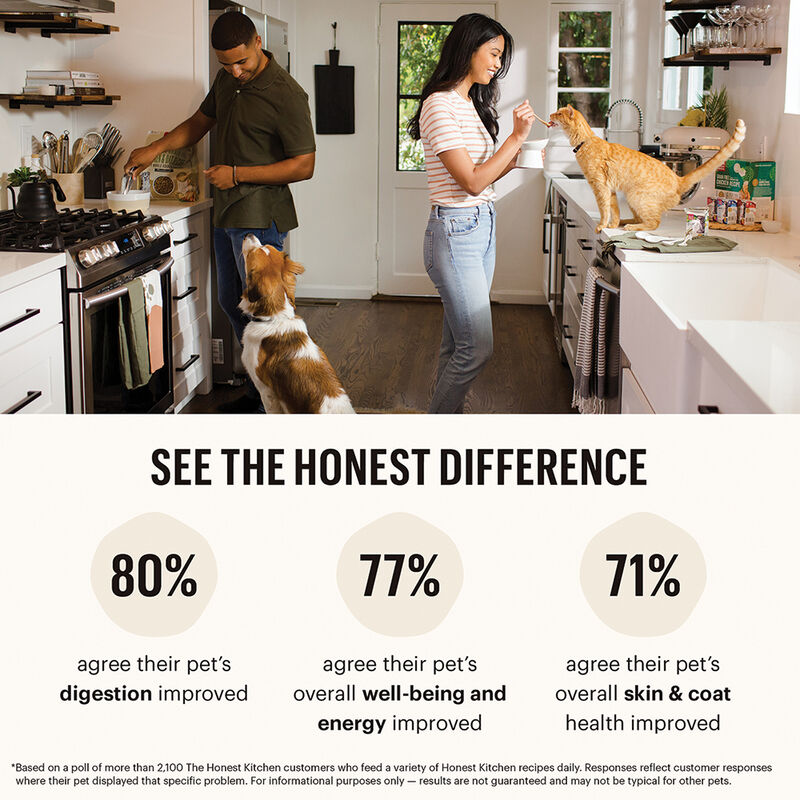 The Honest Kitchen,Whole Grain Turkey Recipe - Freeze Dried Dog Food image number null