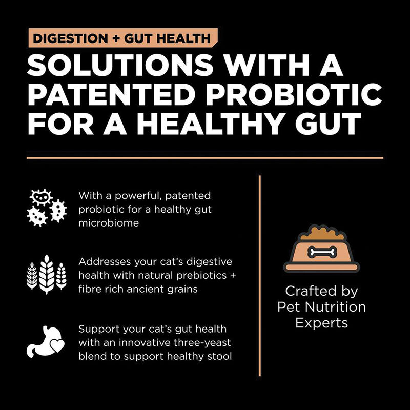 GO! SOLUTIONS, Feline Adult - Digestion & Gut Health - Salmon w/ Ancient Grains - Dry Cat Food image number null