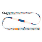 RC Pets, Eco Leash - Riptide - 3/4"x5' image number null