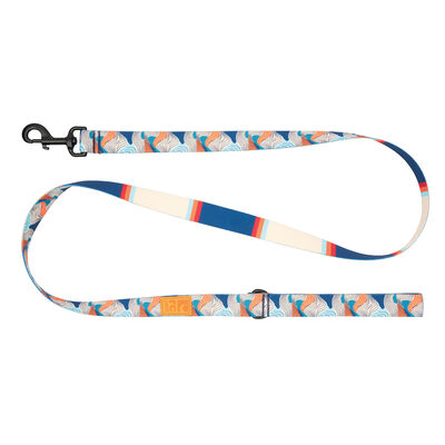 RC Pets, Eco Leash - Riptide - 3/4"x5'