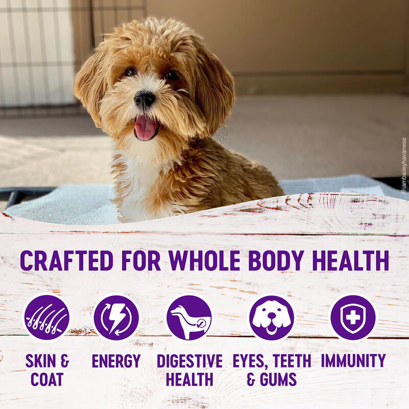 Wellness, Complete Health Small Breed, Healthy Weight Turkey & Brown Rice - Dry Dog Food image number null